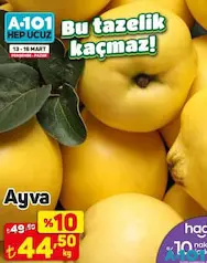 AYVA KG AYVA KG